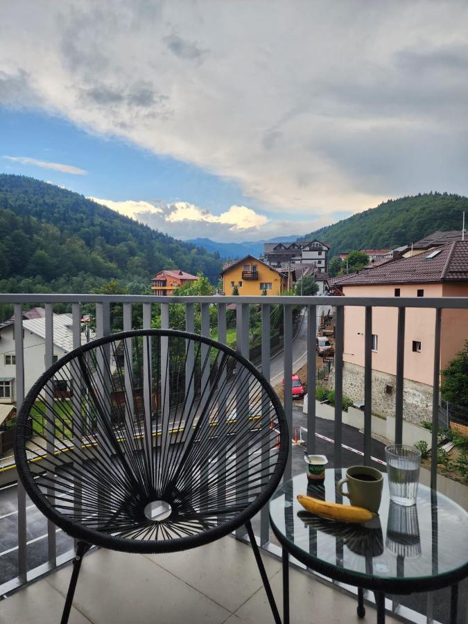 Cozy Studio 4 People With Parking Sinaia Esterno foto
