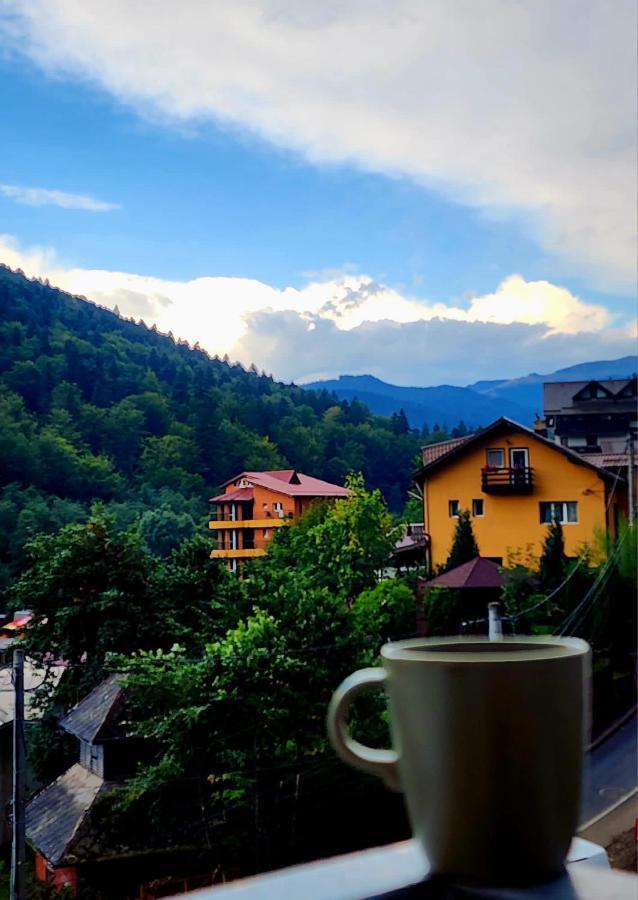 Cozy Studio 4 People With Parking Sinaia Esterno foto