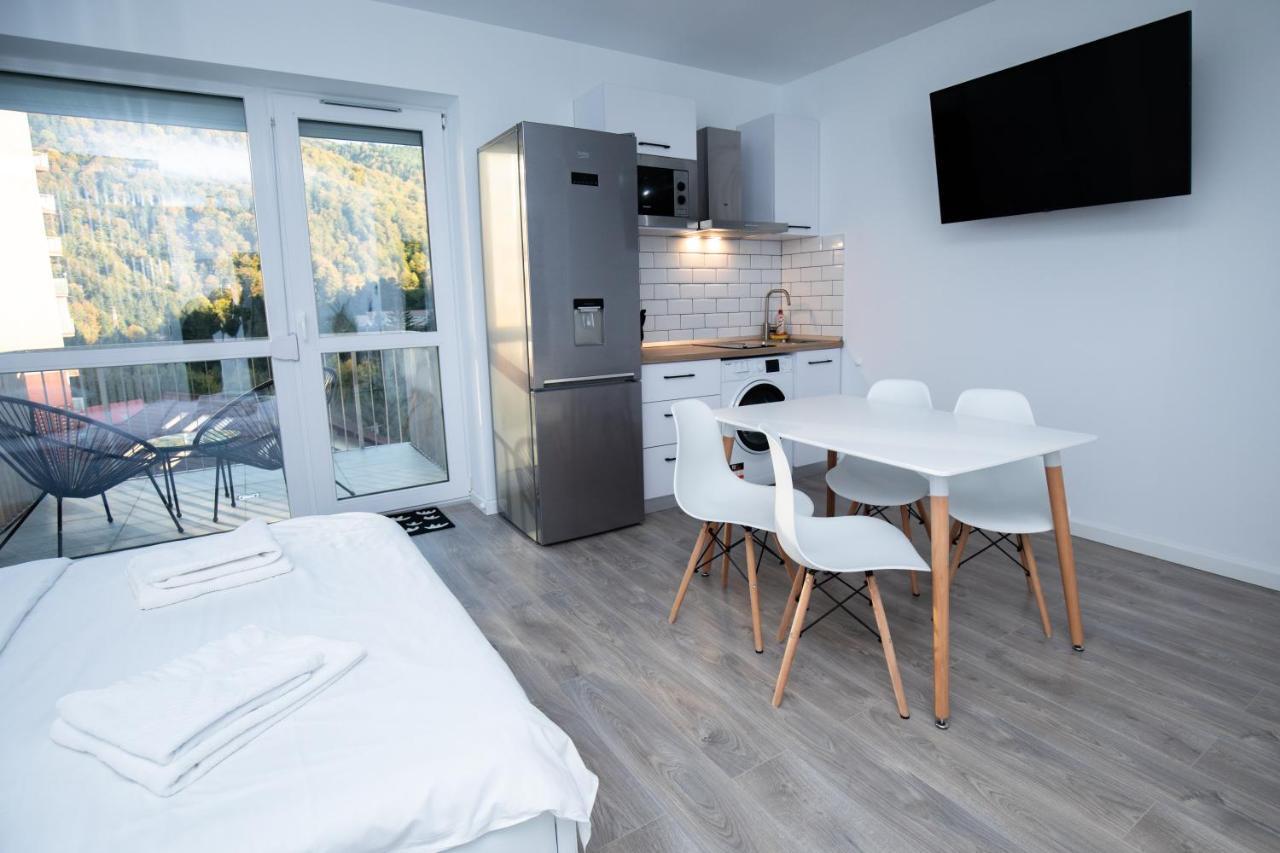 Cozy Studio 4 People With Parking Sinaia Esterno foto