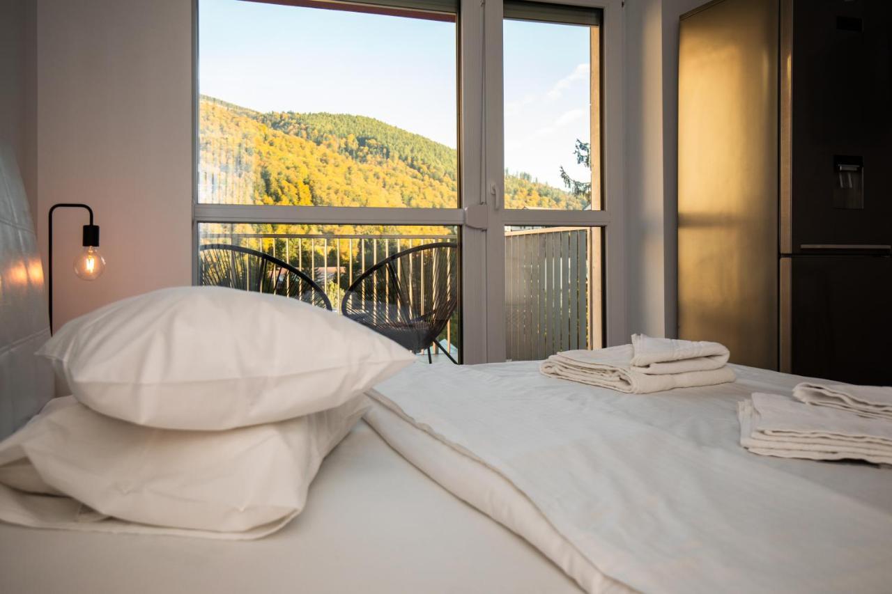 Cozy Studio 4 People With Parking Sinaia Esterno foto