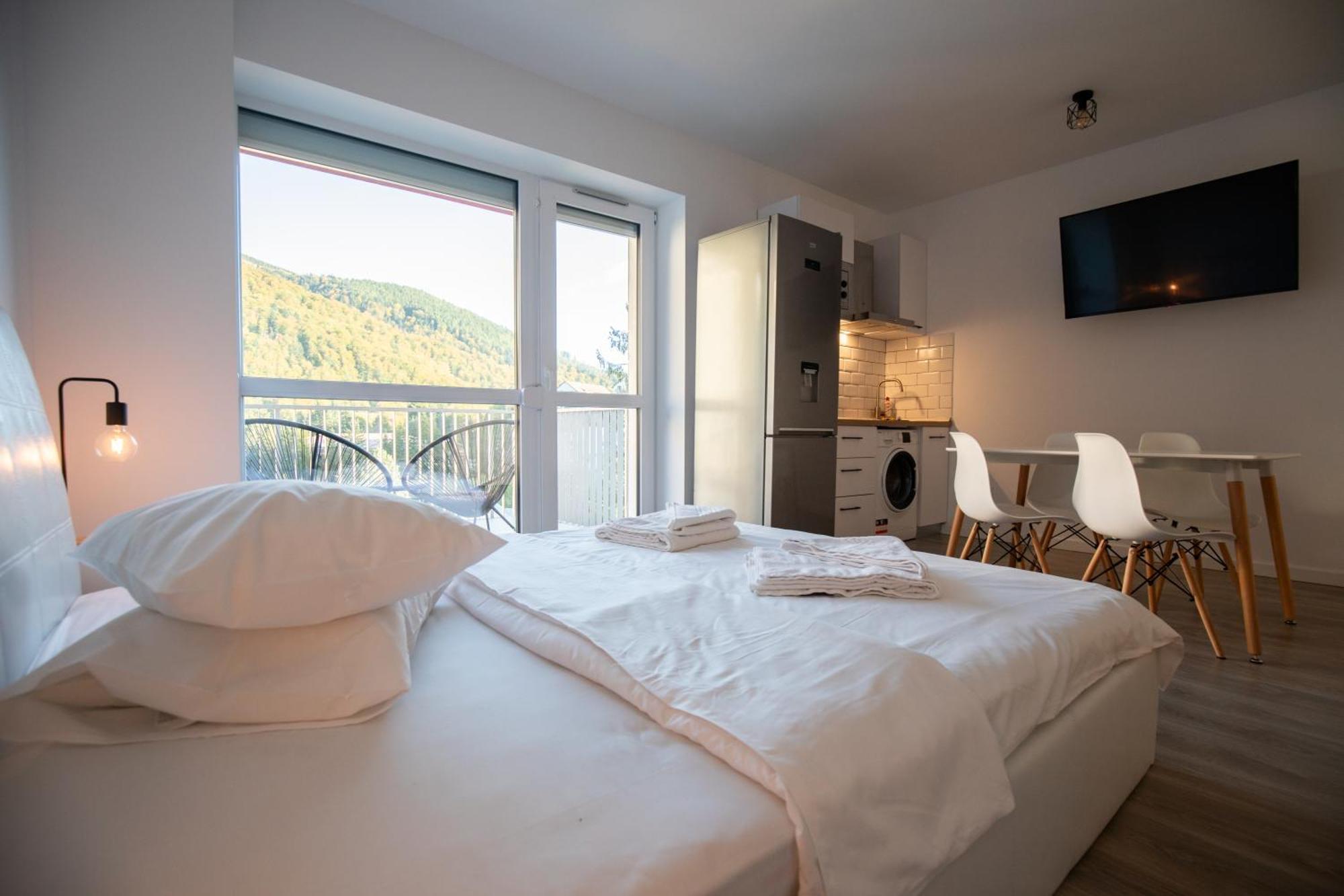 Cozy Studio 4 People With Parking Sinaia Esterno foto