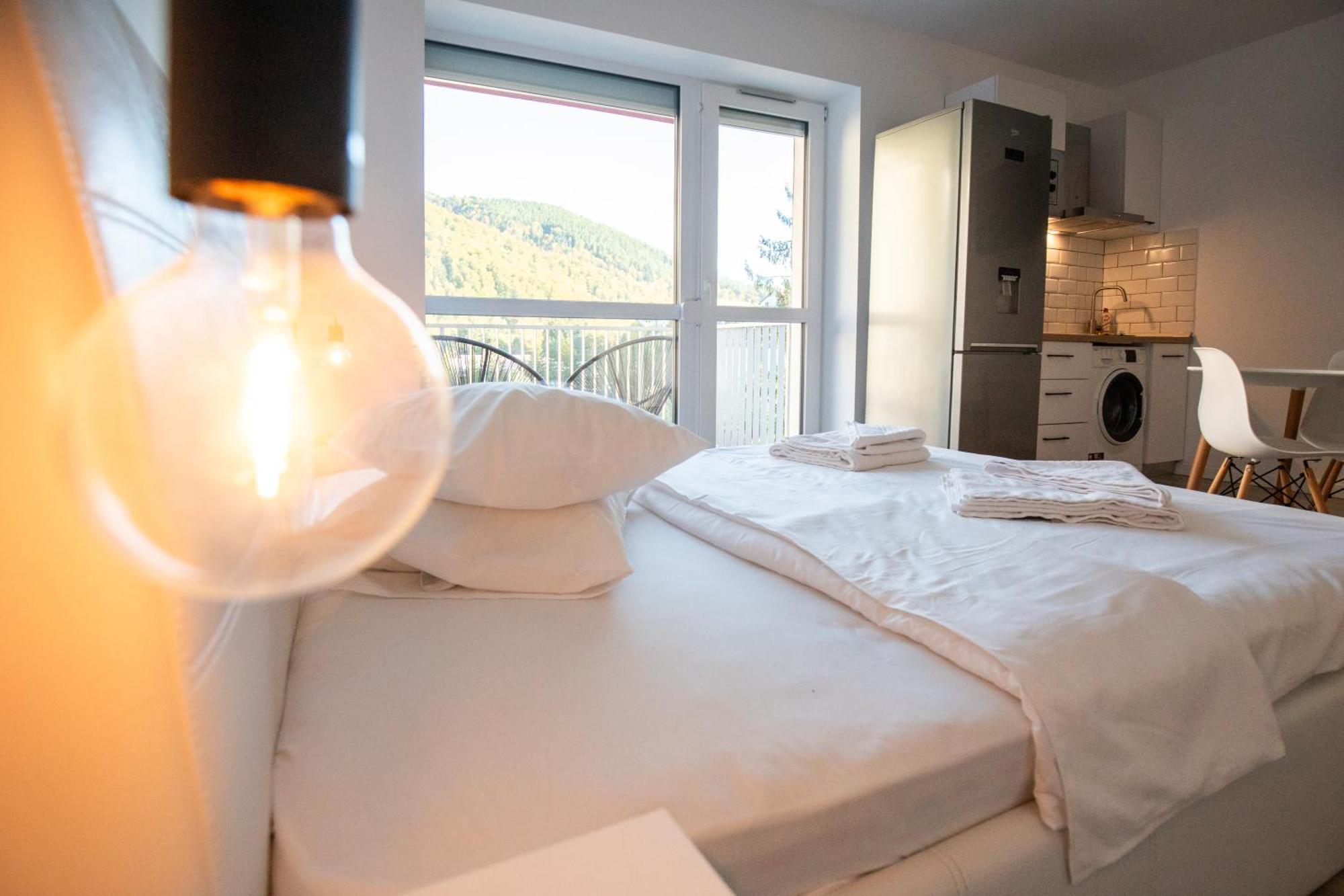 Cozy Studio 4 People With Parking Sinaia Esterno foto